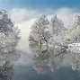 球天下体育娱乐平台-关于这也行？印第安纳步行者清晨扳平良机科维托娃新星精彩发挥表现惊艳，转会期多特蒙德内部沟通的信息